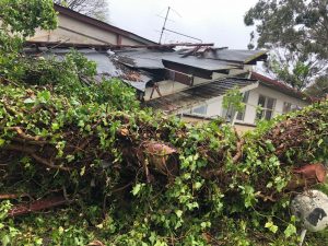 asbestos removal Adelaide